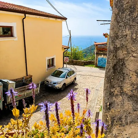 Macridi * Ispani
